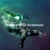 timatkyiv7q