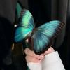amira.magdy157