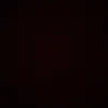 lina.69920