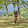 karinedrngr