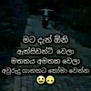 paran299