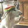 high_rat_fr
