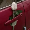anab_086