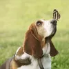 frigmychudlife