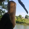 mashics_1