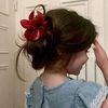 malek__dje