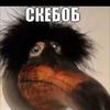 kokocik42