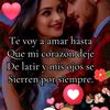 y.frk7