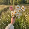 beesh943