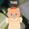 yn.diang17_5