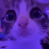 losercity_dweller