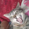 teresamaria.__