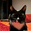 cocofan.1