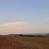 maclara966