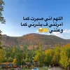 ava_mzere5
