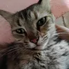 marciacristina313