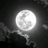 user70108791029636