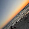 follow_if_you_love_god36