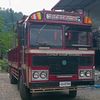 red_truck_officia