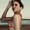 domelupitaxc3