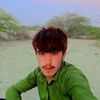 user16016704254626