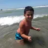 dhsemningm