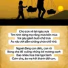 v.vn.kin6