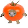 uwu_v04