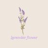 lavender_flowre