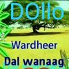 maajid364