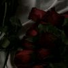 cutiepie_sw