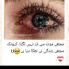 shah0007860