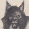 dogman9521