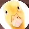 wieboe1t