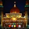 zimal.fatima449