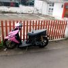 si.ping1