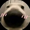 soicaicut04