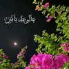user7920685425695