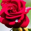 ajshajgha.jjsjsgg