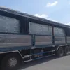 456979duc