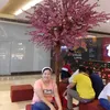 jayrose628