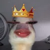 kyrxsh