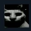 rawrr9755