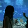 helpsxfpsnancy