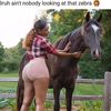 kingsolo2291