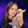 chiwawaasmr