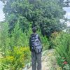 zinc_80