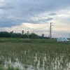 lethinhuquynh1192013
