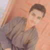 sanwalrasheed741