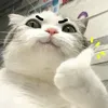 nnkh.riviu
